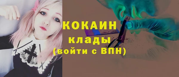 гидра Алексин