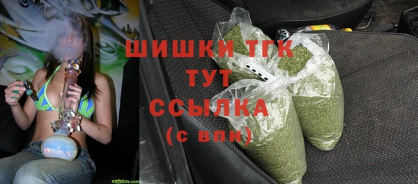 гидра Алексин