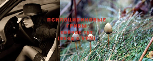 тгк Алексеевка