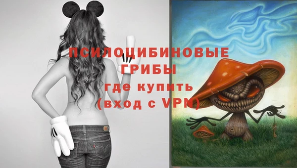 гидра Алексин