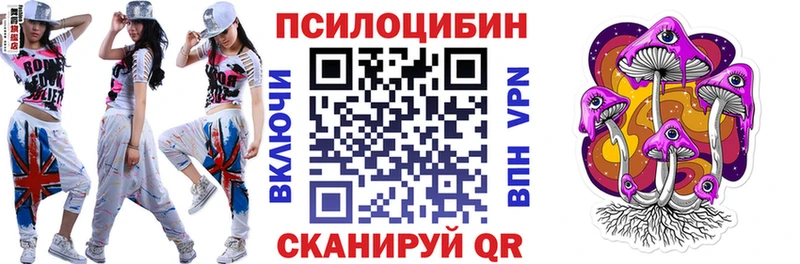Купить где  Сухой Лог  Галлюциногенные грибы мицелий 